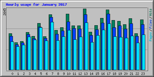 Hourly usage for January 2017
