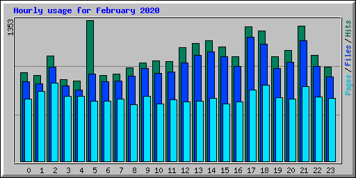Hourly usage for February 2020
